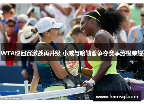 WTA巡回赛激战再升级 小威与哈勒普争夺赛季终极荣耀